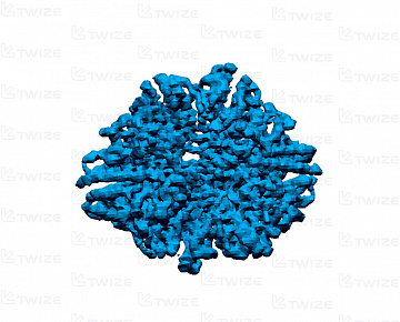 3D‑прототип молекулы нуклеотида из гипса - вид 1